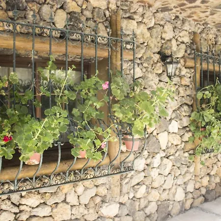 Holiday Los Robles Semesterbostad Icod De Los Vinos