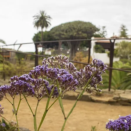 Semesterbostad Holiday Los Robles Icod De Los Vinos